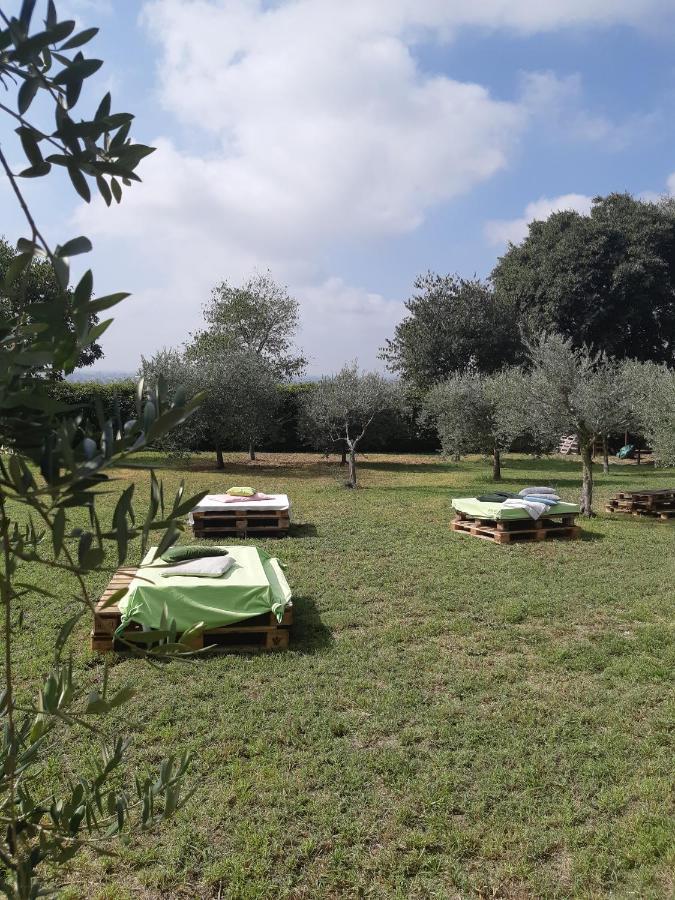 Pace, Luminosita E Comodita A Due Passi Dal Garda Volta Mantovana Exterior foto