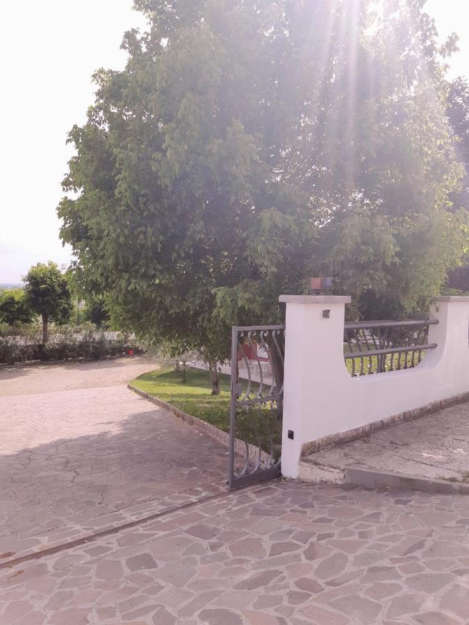Pace, Luminosita E Comodita A Due Passi Dal Garda Volta Mantovana Exterior foto