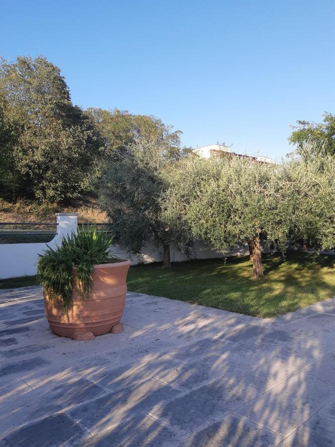 Pace, Luminosita E Comodita A Due Passi Dal Garda Volta Mantovana Exterior foto