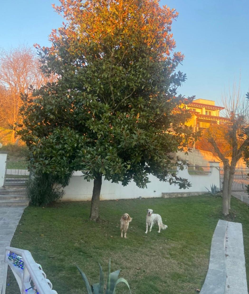 Pace, Luminosita E Comodita A Due Passi Dal Garda Volta Mantovana Zimmer foto